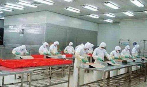 该工厂工作时间不允许上厕所,穿尿不湿上班 员工却认为很合理