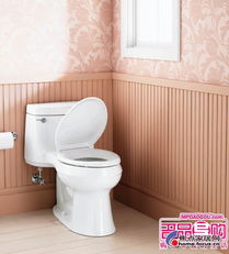 强力推荐 及省水又不贵的品牌卫浴产品 图文